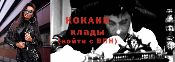 ALPHA PVP Остров