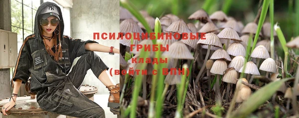ALPHA PVP Остров