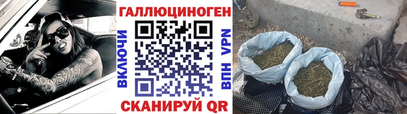 Псилоцибиновые грибы GOLDEN TEACHER Нефтеюганск