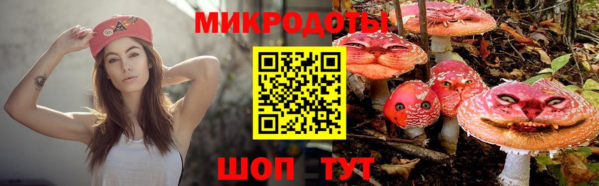Галлюциногенные грибы Cubensis  Вход с VPN  Нефтеюганск 